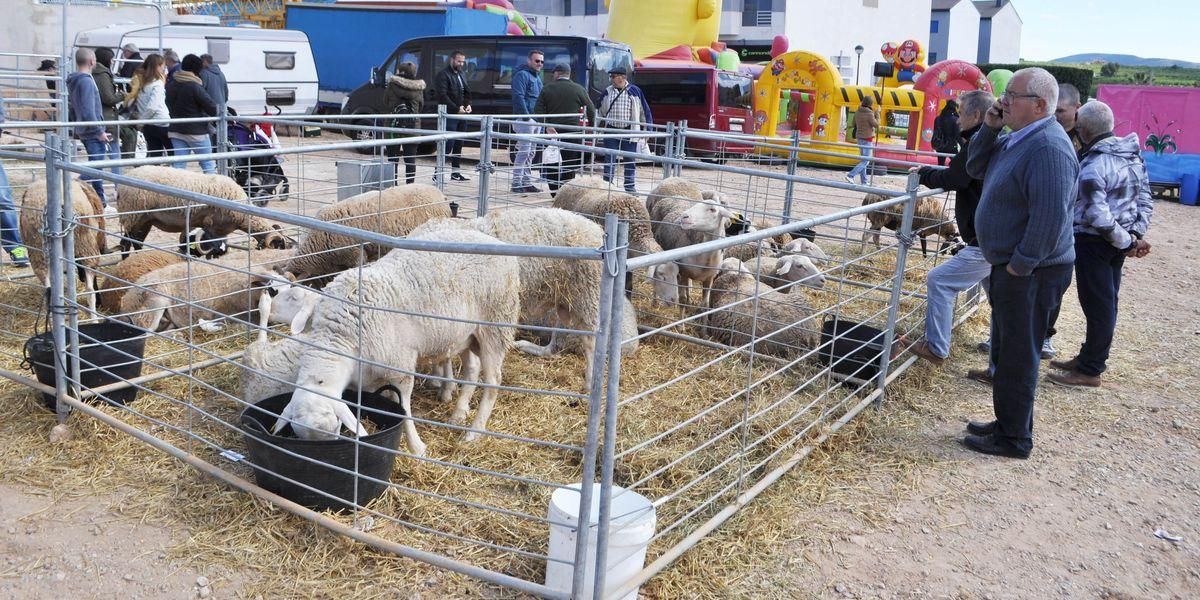 En la Fira también se pueden encontrar expositores de alimentación, artesanía e, incluso, animales vivos.