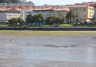 Las rías de Galicia soportan más de 1.900 vertidos en un año, más del 10% contaminantes