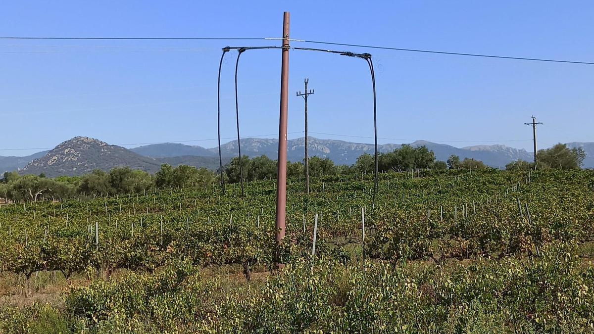 Una de les torres afectades per l'avaria a l'Espolla