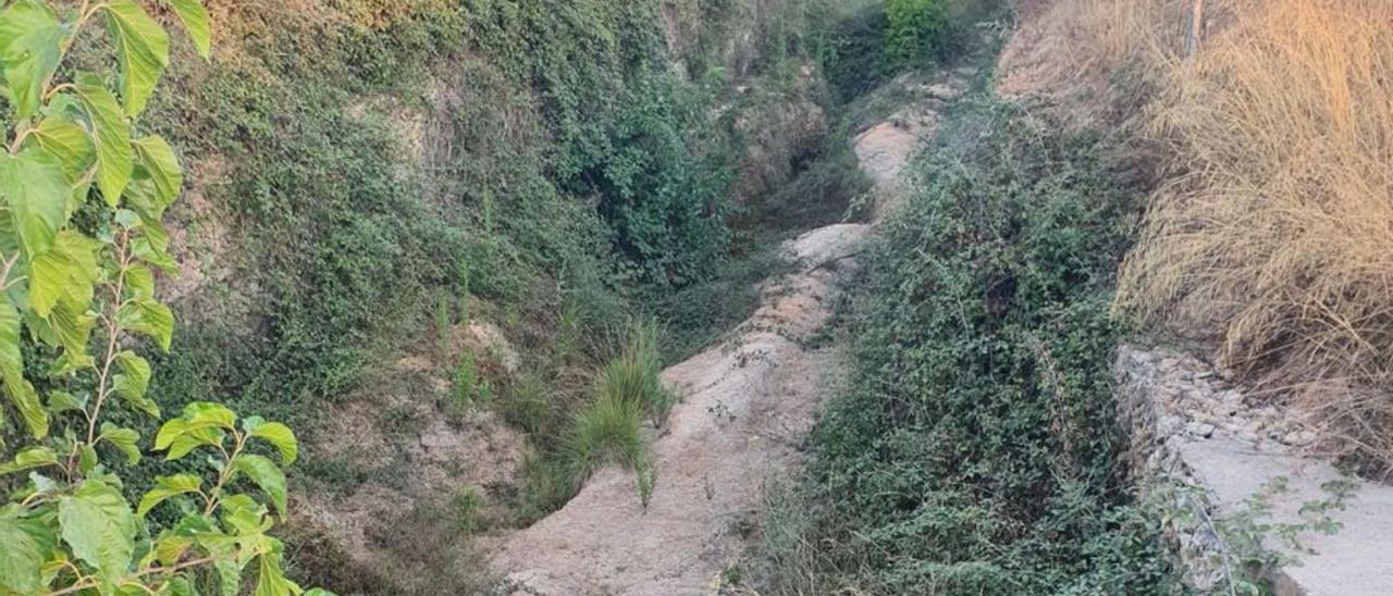 Un barranco de Alginet, repleto de maleza. | LEVANTE-EMV