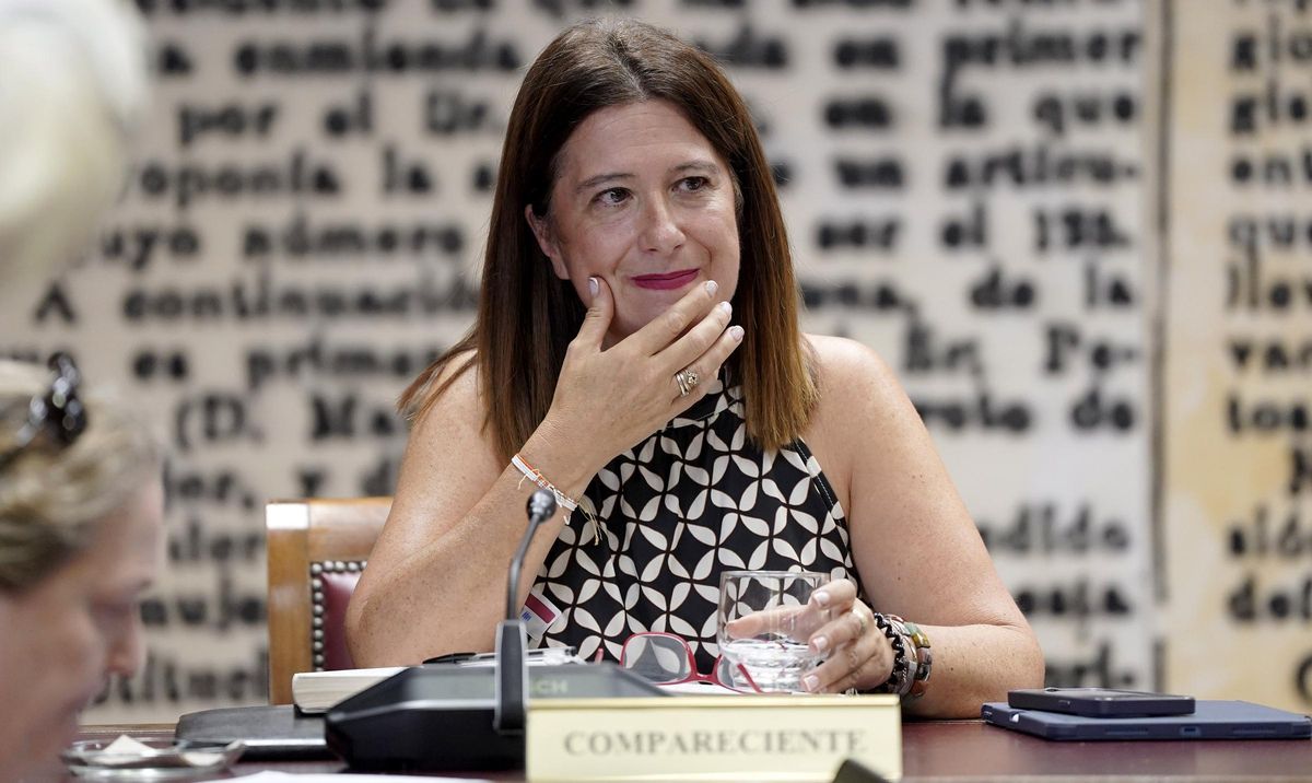 La exmilitante socialista Leire Díez comparece en la comisión que investiga los contratos relacionados con el caso Koldo en el Senado. La exmilitante socialista Leire Díez comparece en la comisión que investiga los contratos relacionados con el caso Koldo en el Senado.