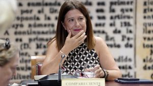 La exmilitante socialista Leire Díez comparece en la comisión que investiga los contratos relacionados con el caso Koldo en el Senado.