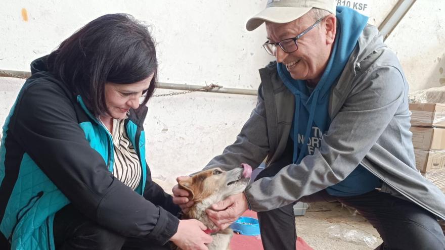 Final feliz para la historia de Lucas: el perrín salense que buscaba nuevo hogar estrena familia en el Cabo Peñas