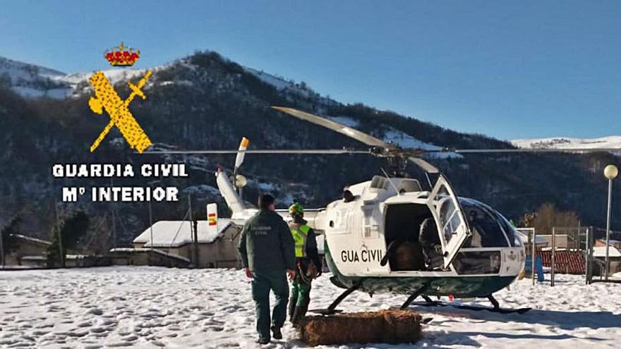 Pacas trasladadas por el helicóptero de la Guardia Civil a Pelúgano (Aller) para alimentar el ganado.| Guardia Civil