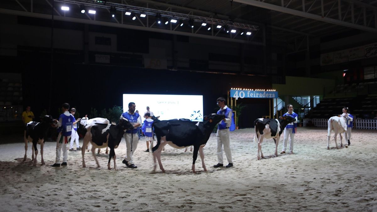 Animales sobre la pista del Lalín Arena en uno de los concursos.