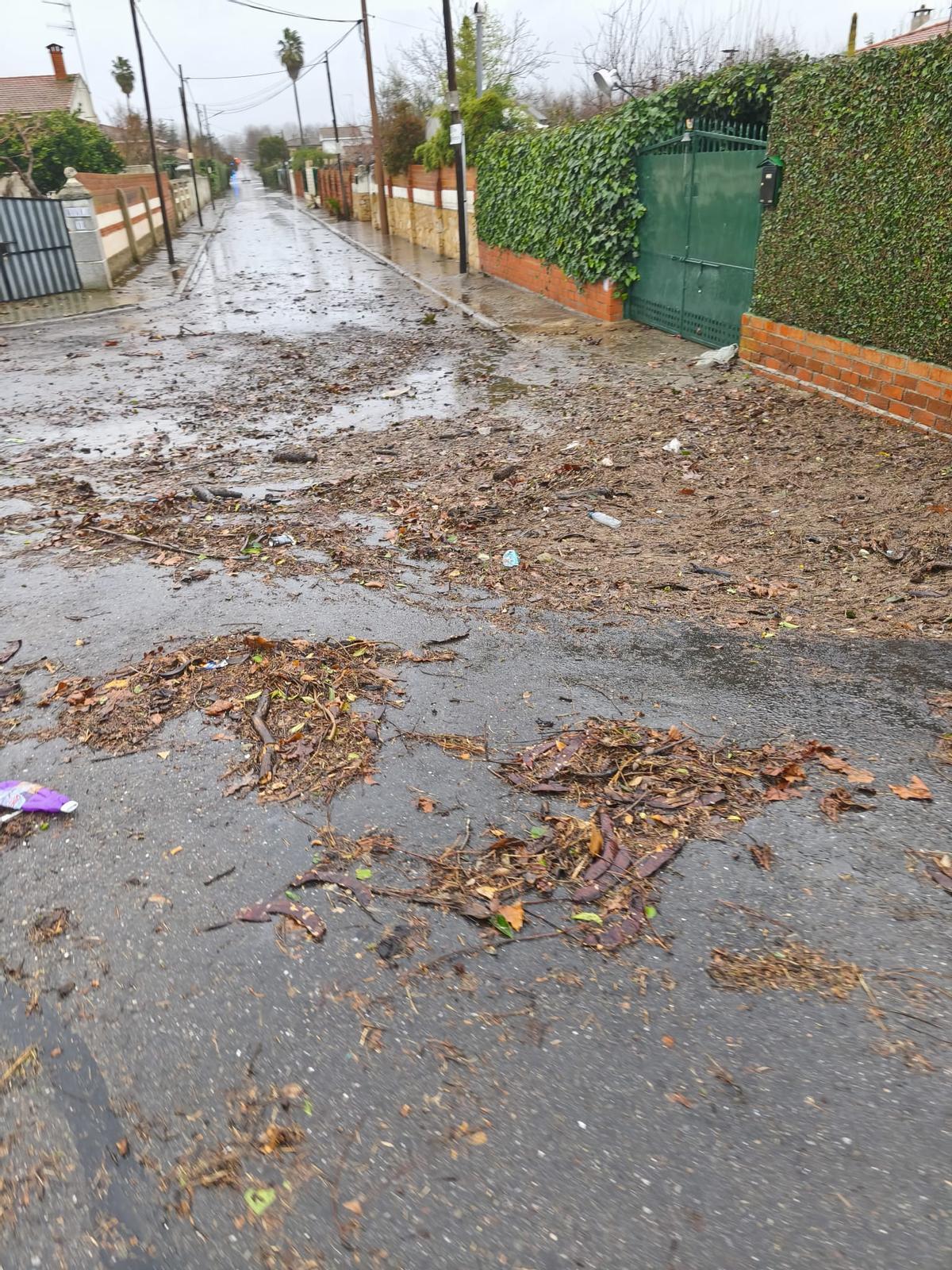 Estado de una calle de las calles menos afectadas en la urbanización La Isleta, esta mañana.