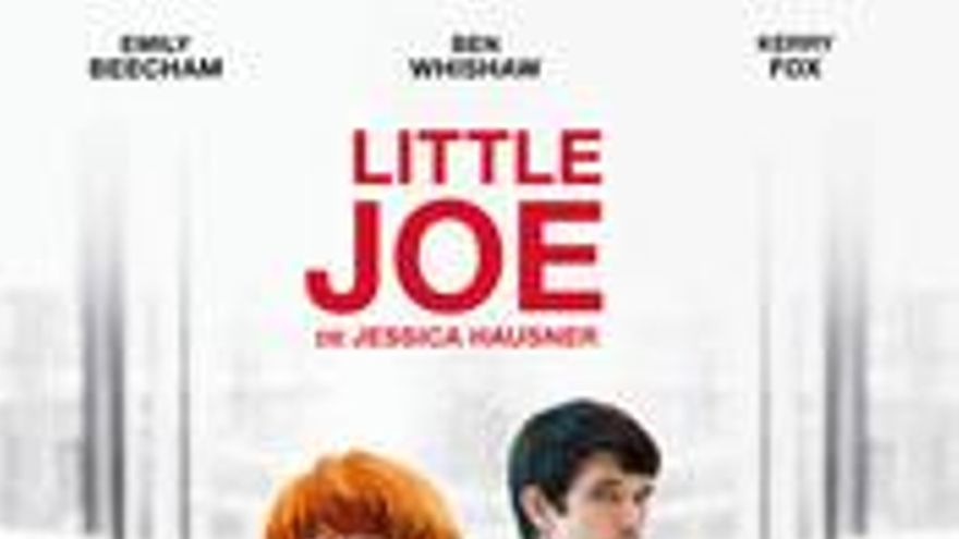 Little Joe