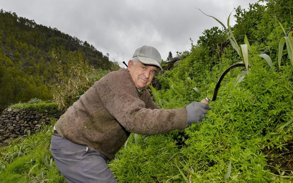 Así lucen tras el temporal las presas de Los Pérez, Las Hoyas y Lugarejos