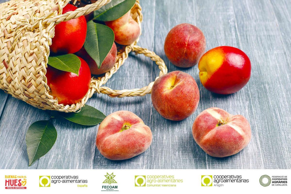 Campaña de Cooperativas Agroalimentarias de Aragón
