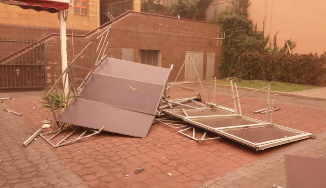 Un árbol partido por el efecto del viento.