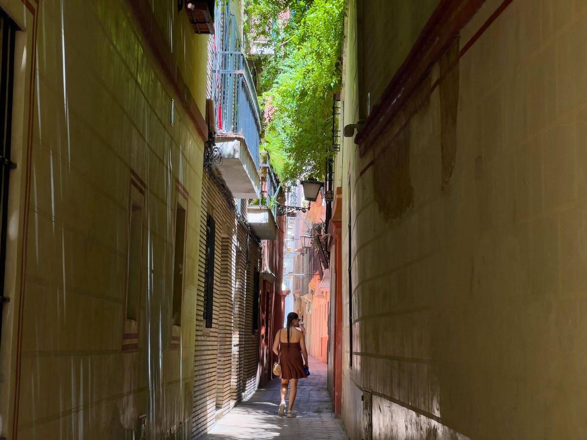 Mujer paseando por la calle Verde a la sombra en Sevilla