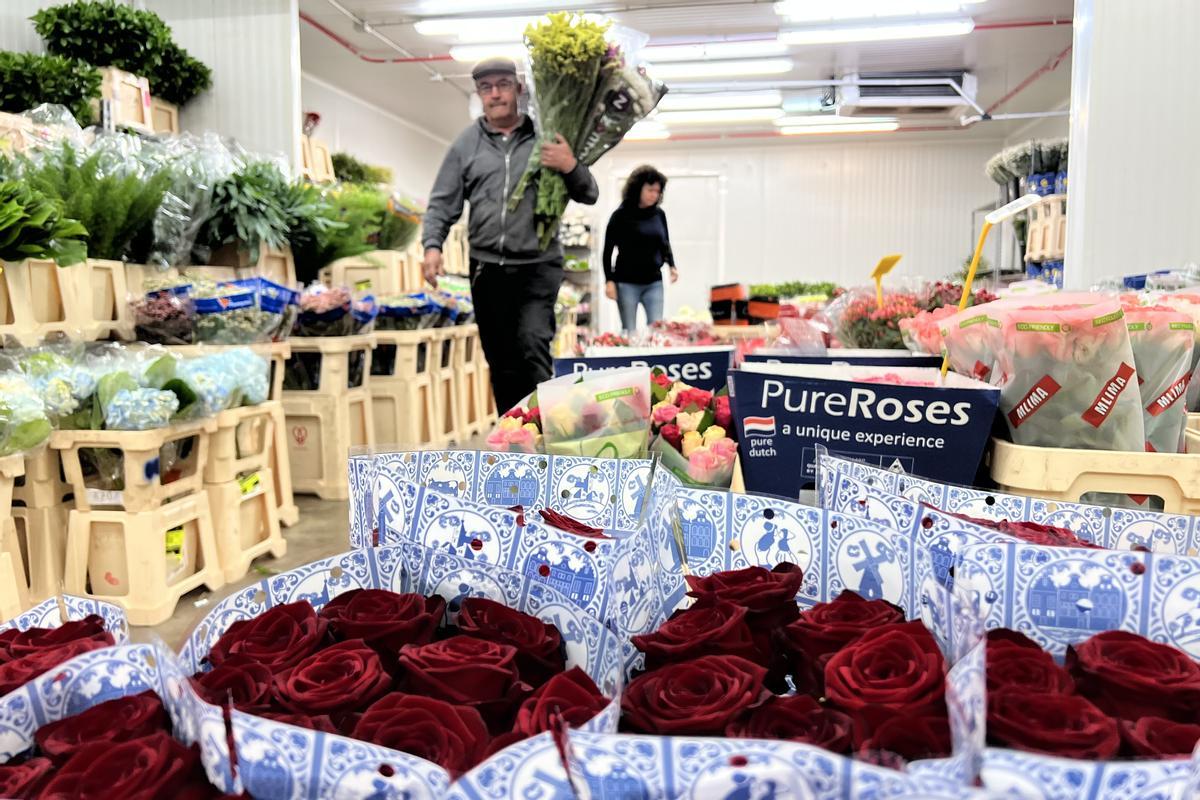 Flors marrons, tenyides i vellutades: així són les noves roses que arriben per Sant Jordi