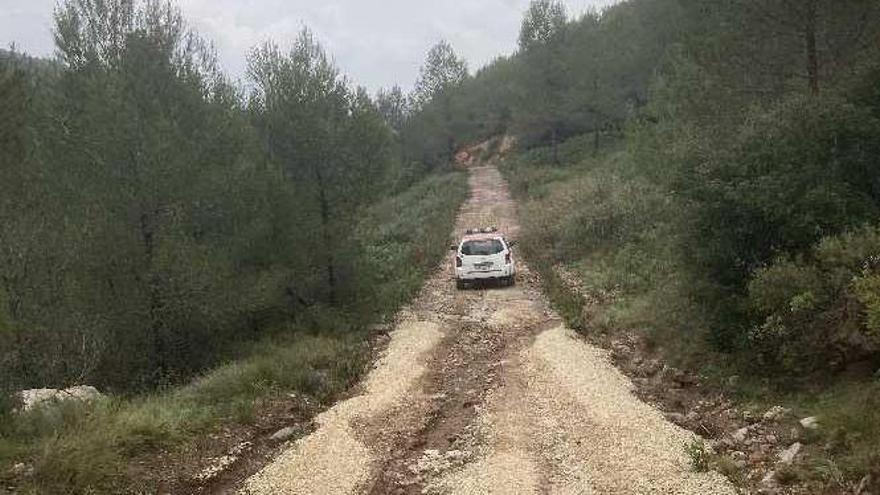 Pista forestal de Vallada que será adecuada para la ruta cicloturística de les Fonts.