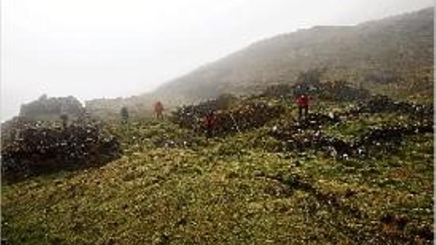 El descobriment es va produir al massís peruà de Vilcabamba.