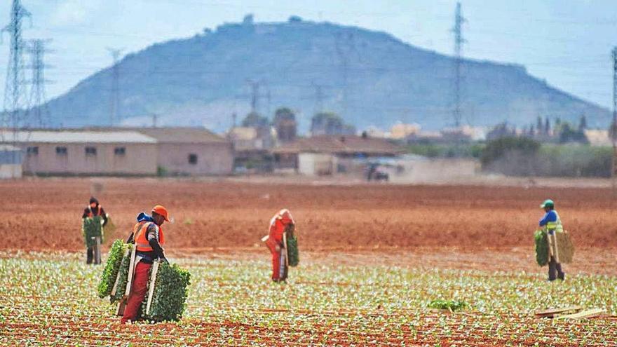 Trabajadores del 
sector agrícola.  l.o.