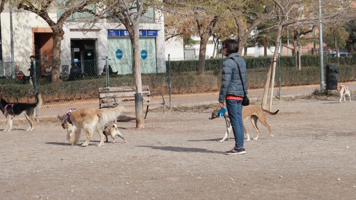 Imagen de archivo de un parque canino de Castelló.