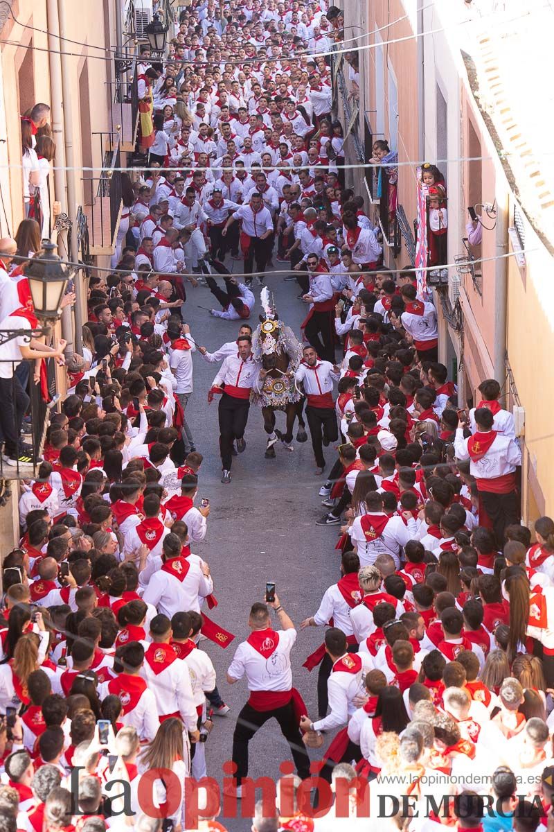 Caballos del Vino en la cuesta de la Simona