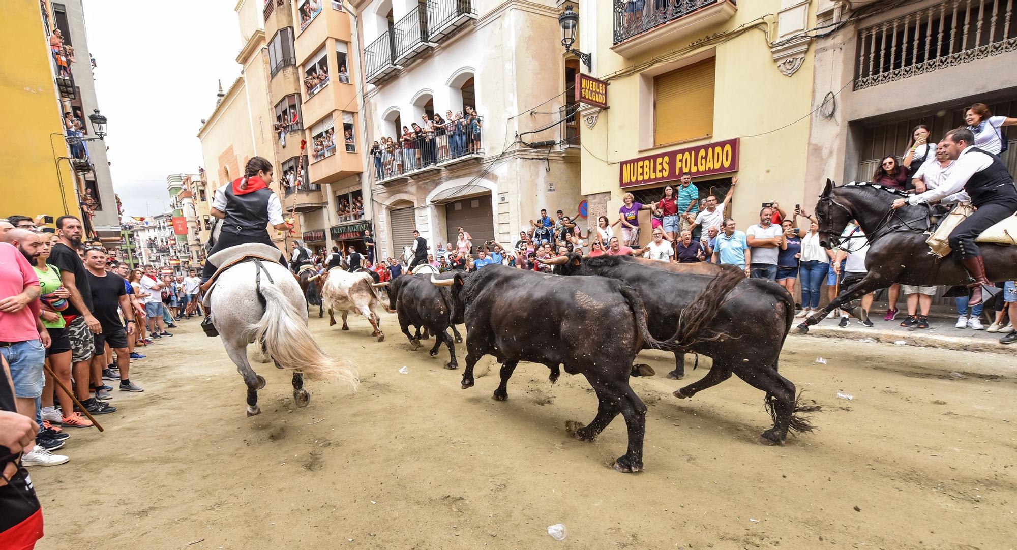 Primera entrada de caballos y toros de Segorbe