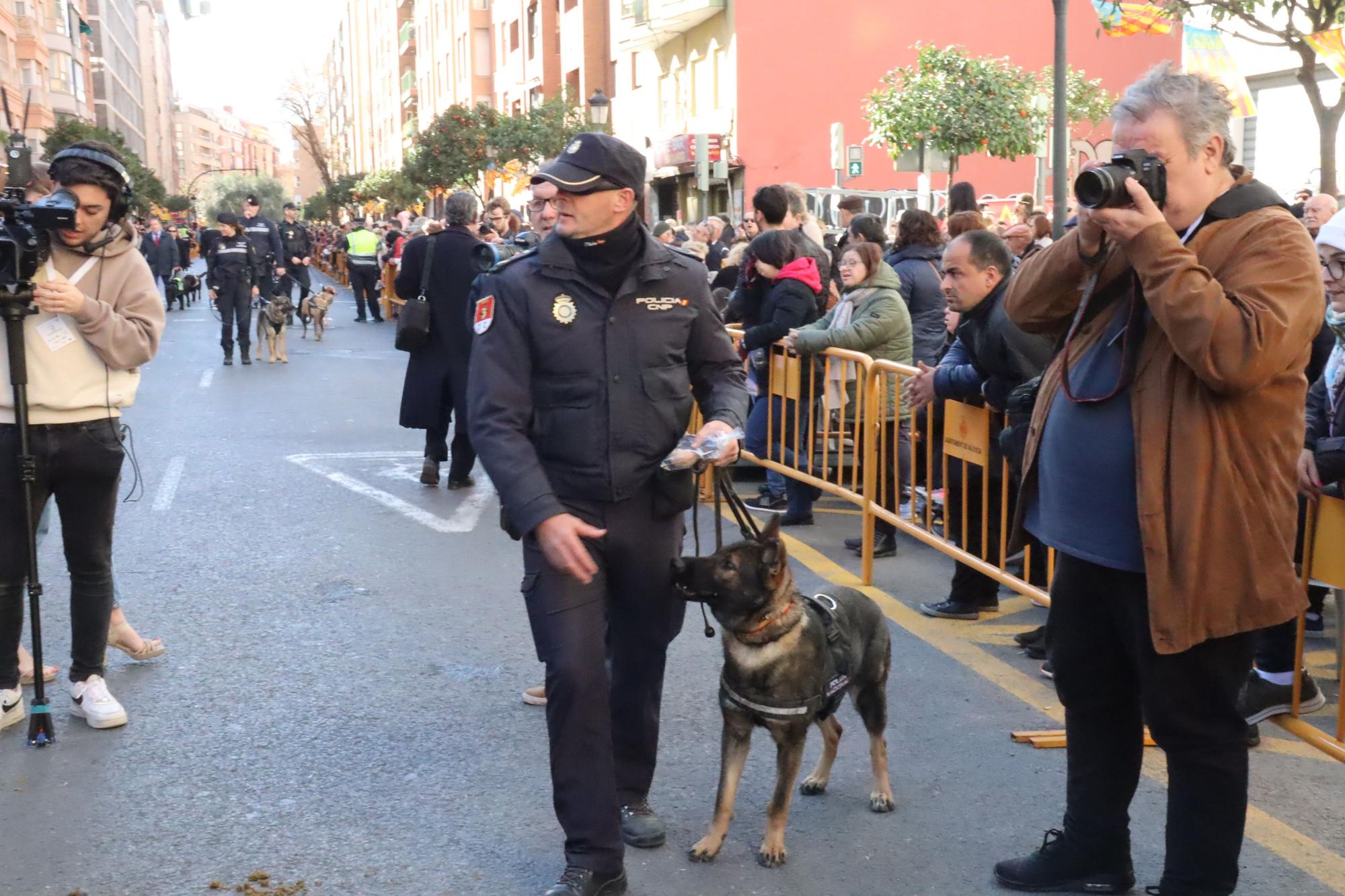 Perros policía y animales de granja completan el desfile de Sant Antoni en València