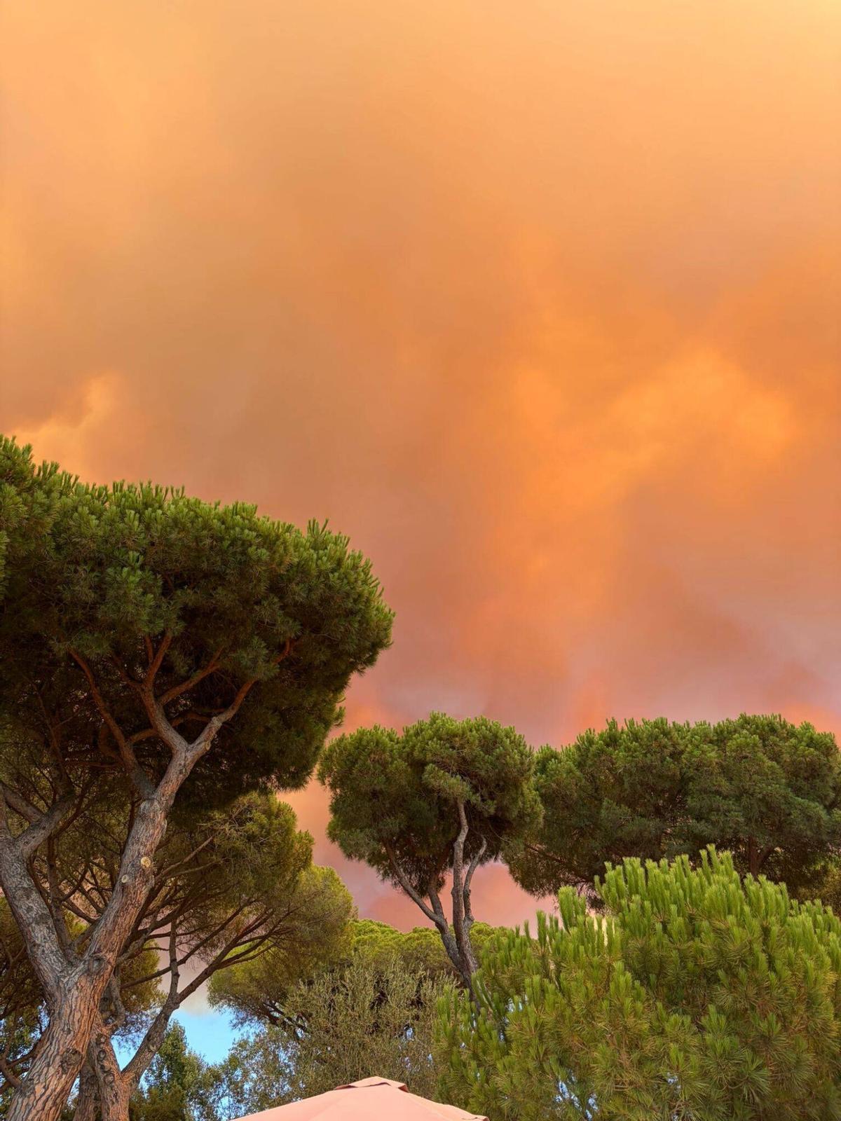 Platja d'Aro. El fum i la cendra tenyeixen el cel de taronja Platja d'Aro. El fum i la cendra tenyeixen el cel de taronja