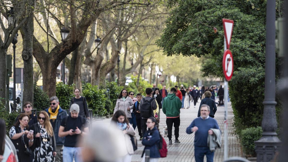 Vídeo | El saldo vegetativo de Cáceres, otra vez negativo
