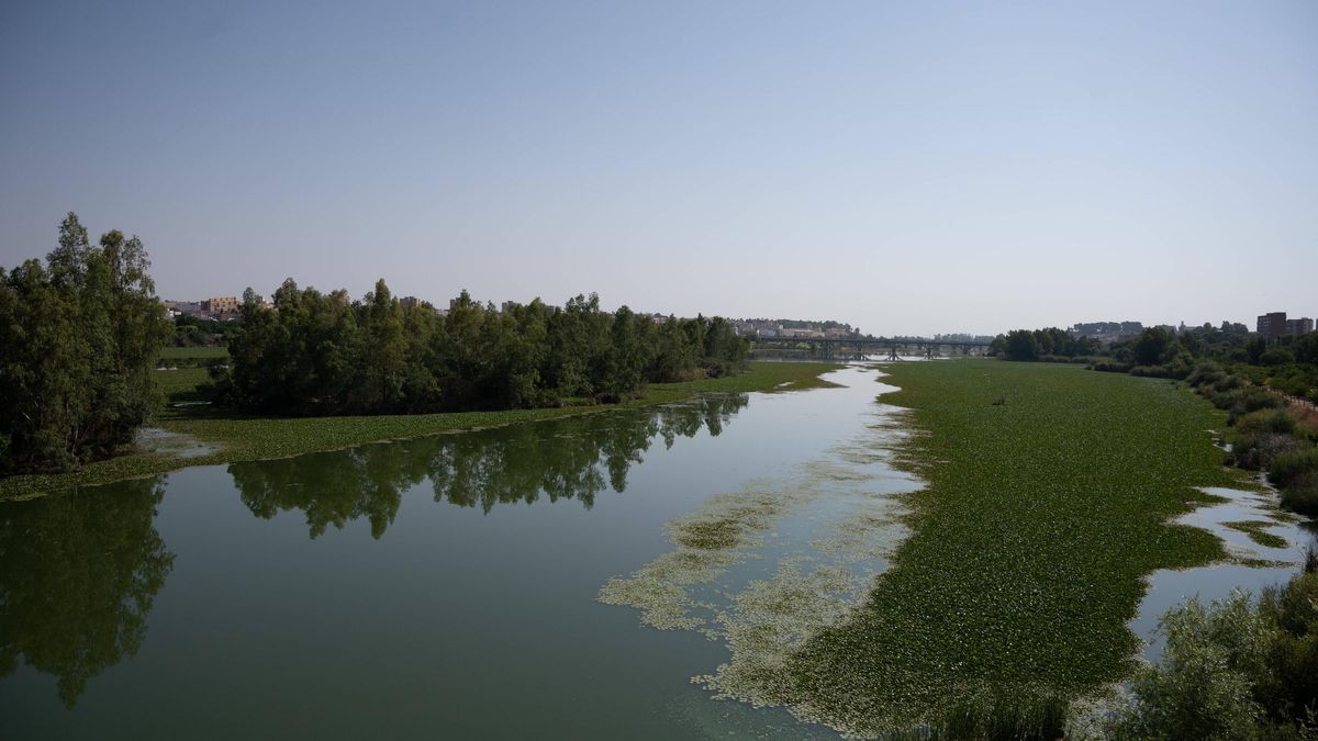 Tramo del río Guadiana a su paso por Badajoz.