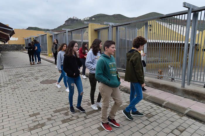 Alumnos del colegio Heidelberg visitan el ...