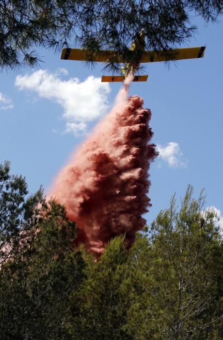 Incendio forestal en Carcaixent