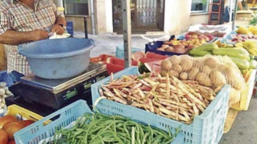 Deliciosas judías pintas para preparar &#039;escudella fresca&#039;