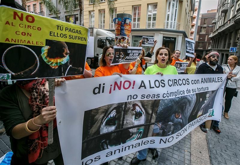 Protesta para prohibir el maltrato de animales