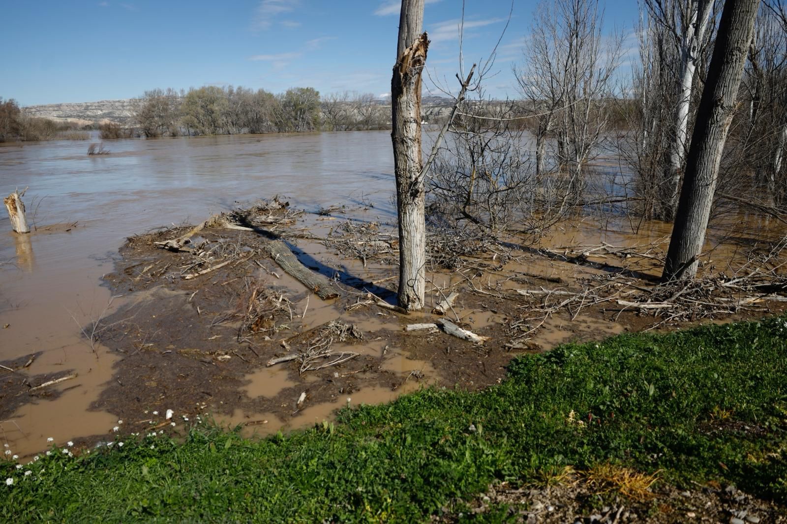 En imágenes | Así transcurre la crecida del Ebro a su paso por Aragón