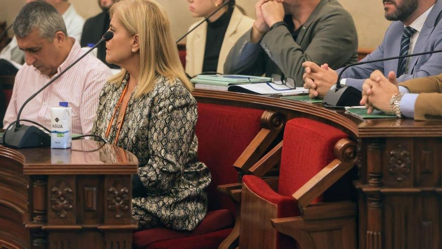 Barcala consigue aprobar el &quot;tasazo&quot; de la basura gracias a la ausencia de un concejal de Vox