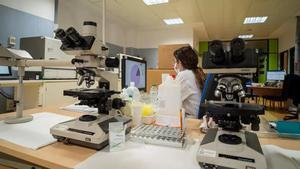 Imagen de un laboratorioi de la Junta de Andalucía