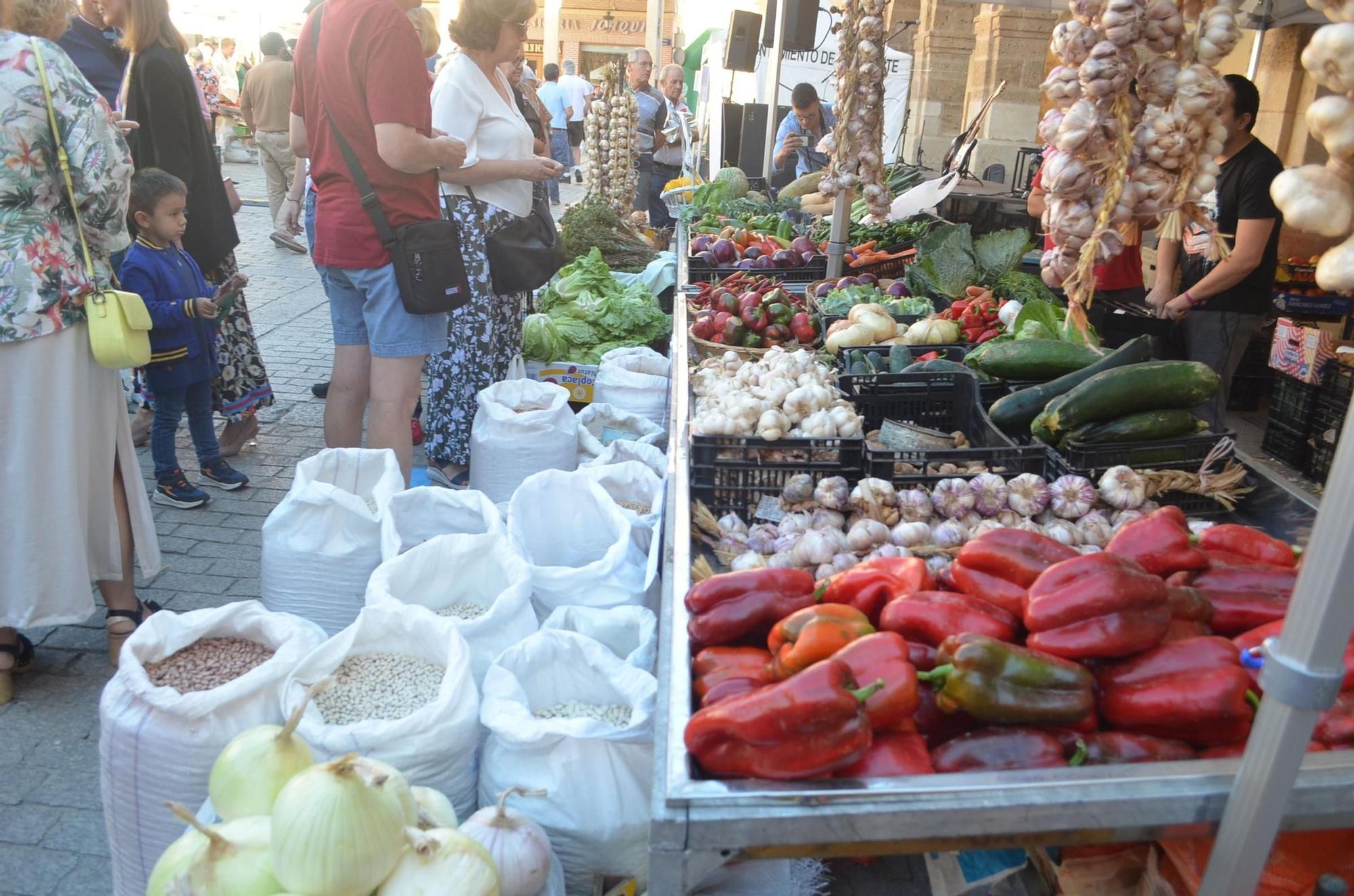 Así ha transcurrido la XXIX Feria del Pimiento y Productos de la Tierra de Benavente