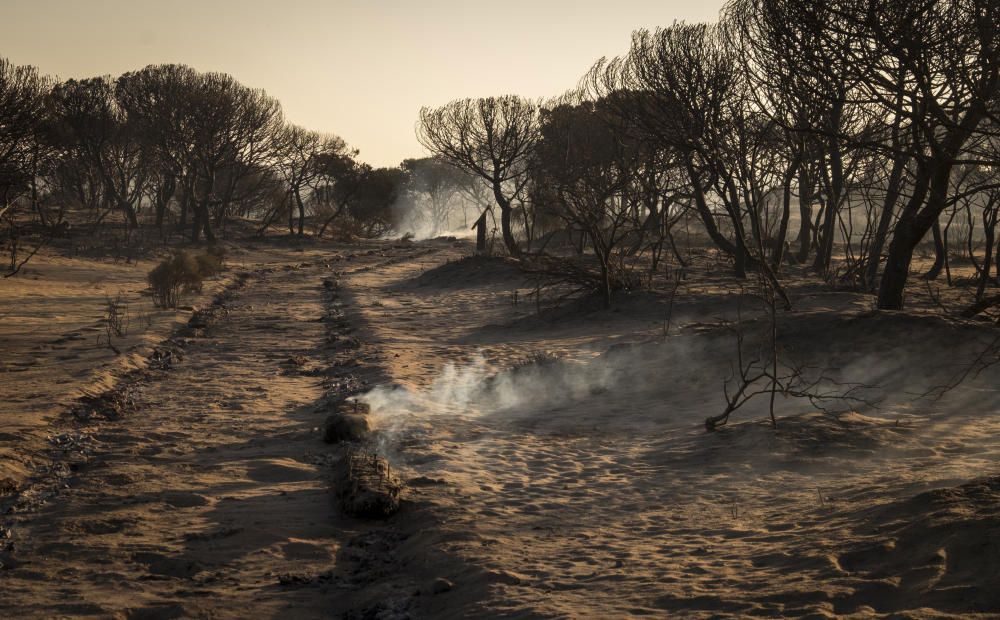 Incendio en Huelva