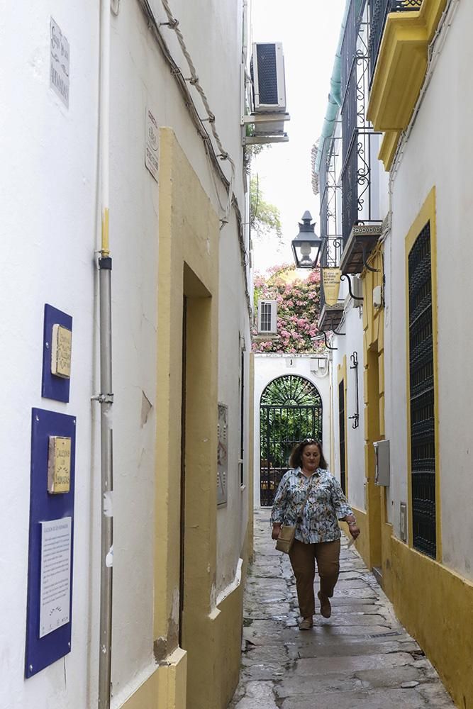 Gran ambiente en el Festival de las Callejas de Córdoba.