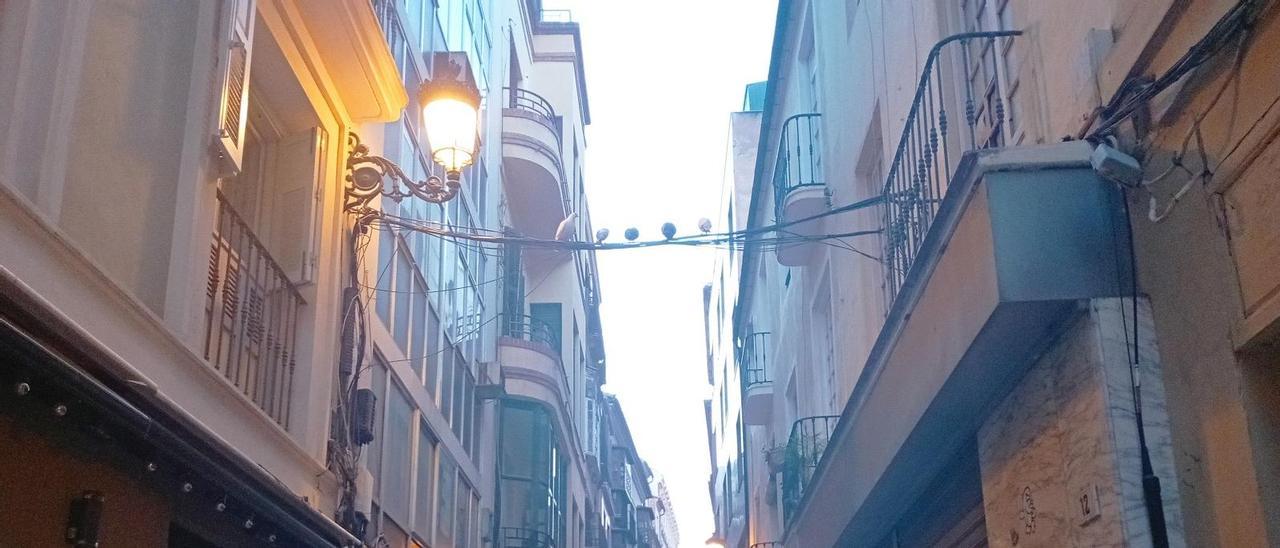 Detalle de la calle Santa María, a primera hora de ayer, con el ‘arco de bienvenida’ ocupado por palomas.