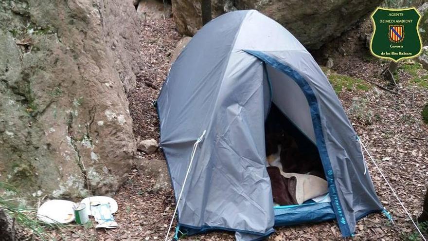 TIenda de acampada que habÃ­an instalado unos individuos en la Serra de Tramuntana. Los agentes medioambientales han levantado acta.