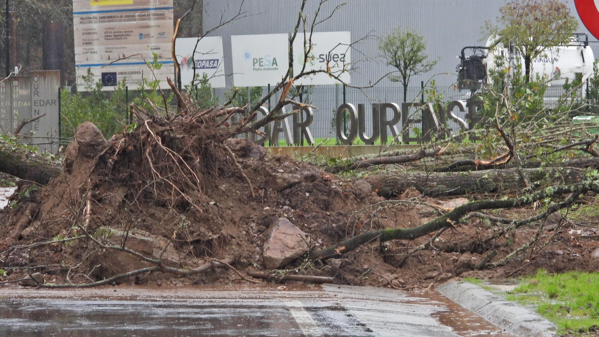 Caída de un árbol sobre la carretera en Reza.