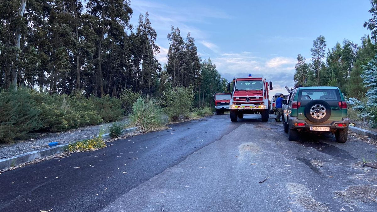 Medio que actuaron, en el polígono urbanizable de A Granxa