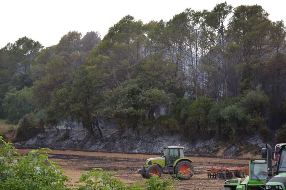 Els Bombers apaguen un foc a Vilademuls