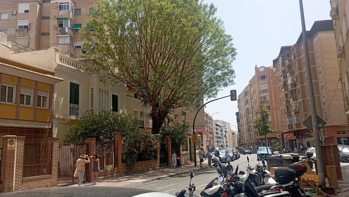 El Camino de Suárez, 16 es una excepción en el bosque de bloques de esa zona de Málaga.