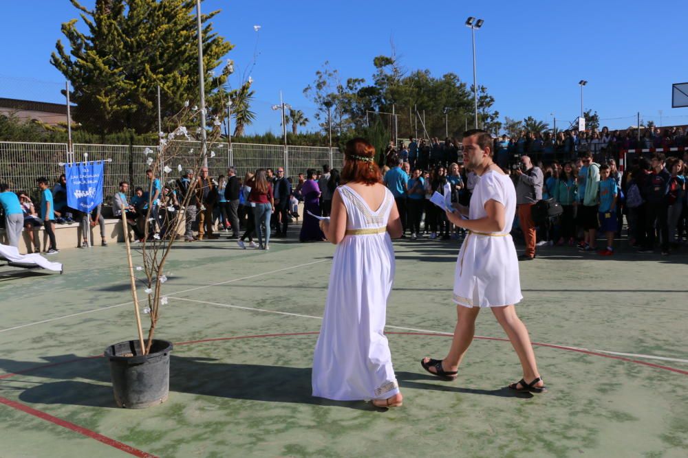 Olimpiadas clásicas en Torrevieja