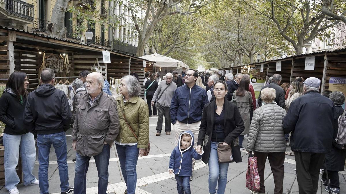 Gent circulant pel Passeig de Pere III de Manresa durant la Fira Ecoviure d'aquest any