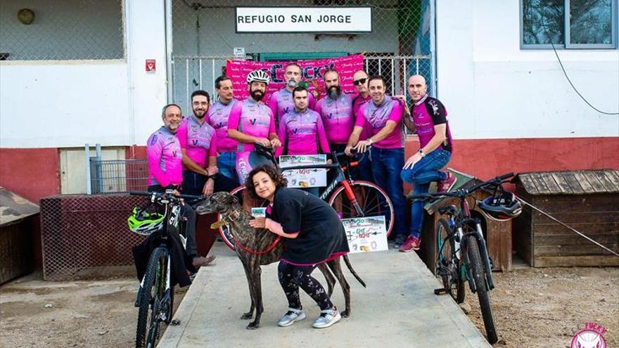 Avalancha de solidaridad con el refugio de animales