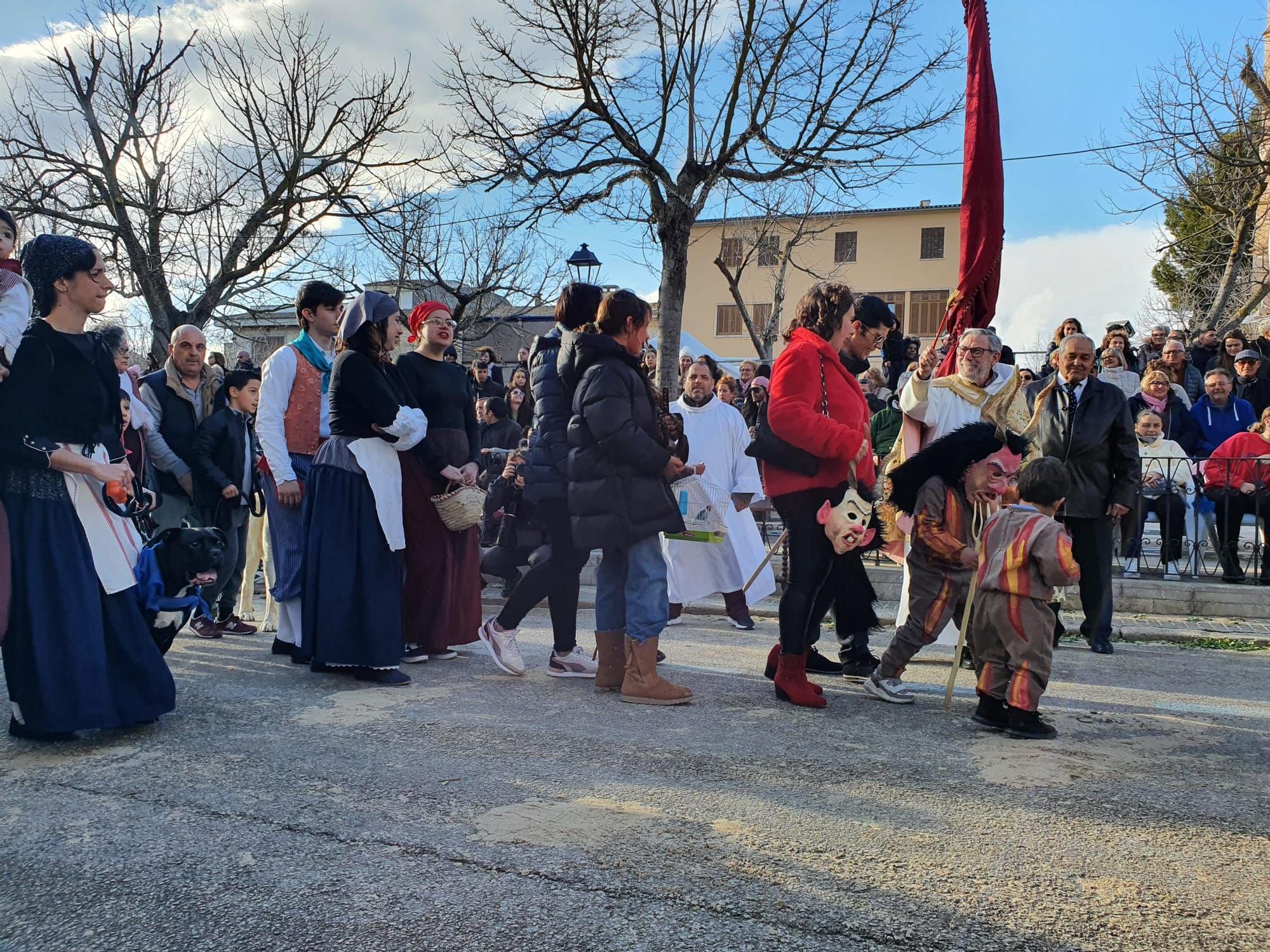 Sant Antoni 2023 | Beneïdes de Muro