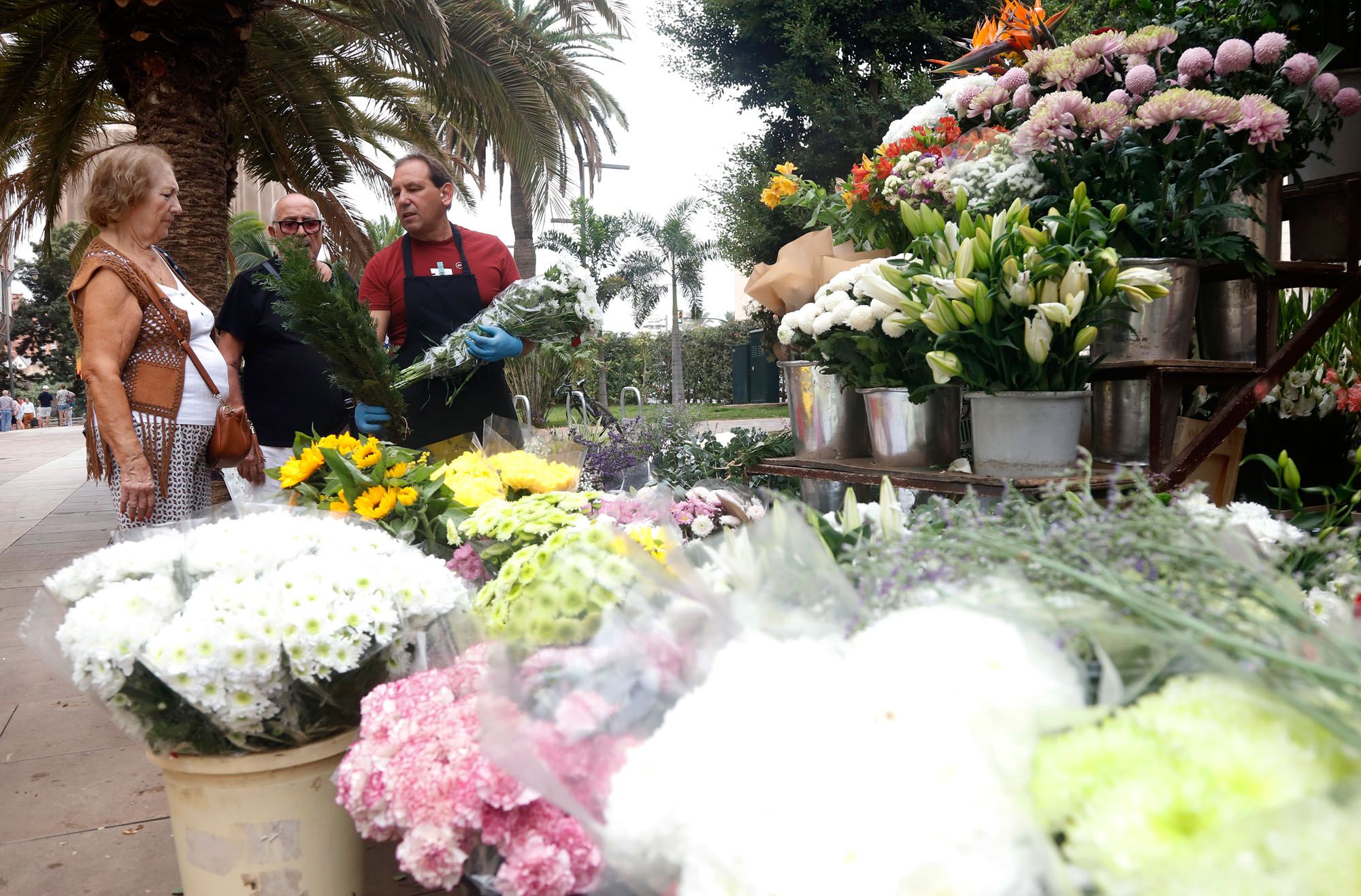 Venta de flores en Málaga de cara al 1 de noviembre, Día de Todos los Santos