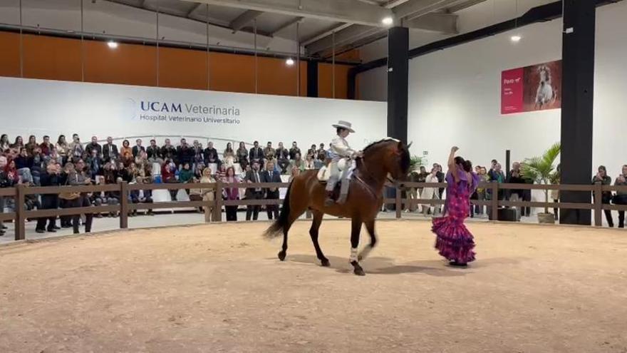 Exhibición en la inauguración del Hospital Vererinario de la UCAM