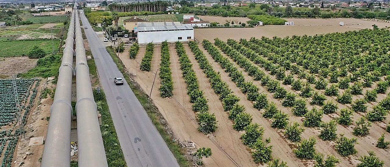 Los agricultores de la Vega Baja y el Campo de Elche decidieron sus inversiones por una ley del Gobierno que las avalaba.  | TONY SEVILLA
