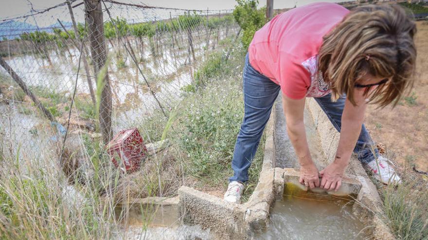 Una regante de La Murada abre el tablacho para dejar pasar el agua de riego el pasado verano